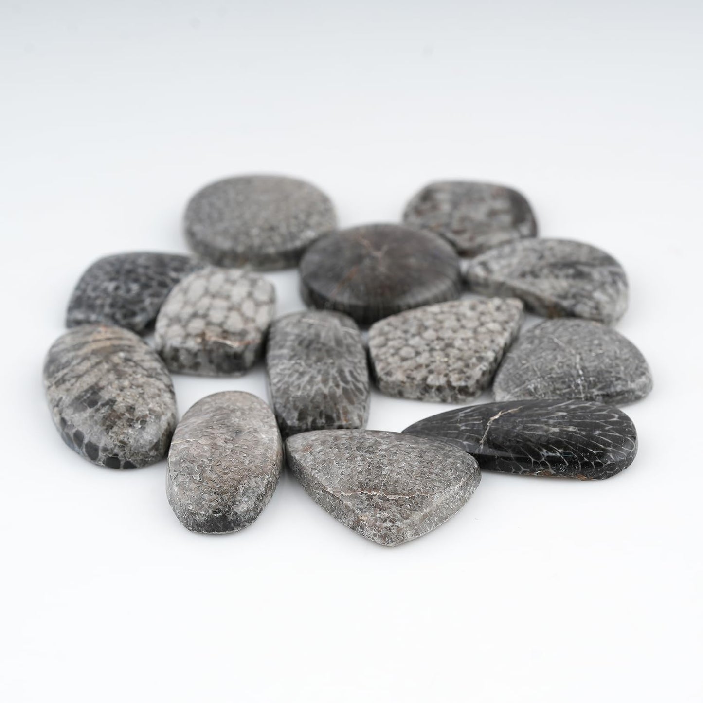 GemSymphony Natural Black Fossil Coral Gemstone Cabochon Pack of 3 Mixed Shapes – Polished Crystal Stones for Jewelry Making Supply, Healing, Reiki & DIY Crafts, Natural Gem Cab Set for Wire Wrapping (10-20 mm)
