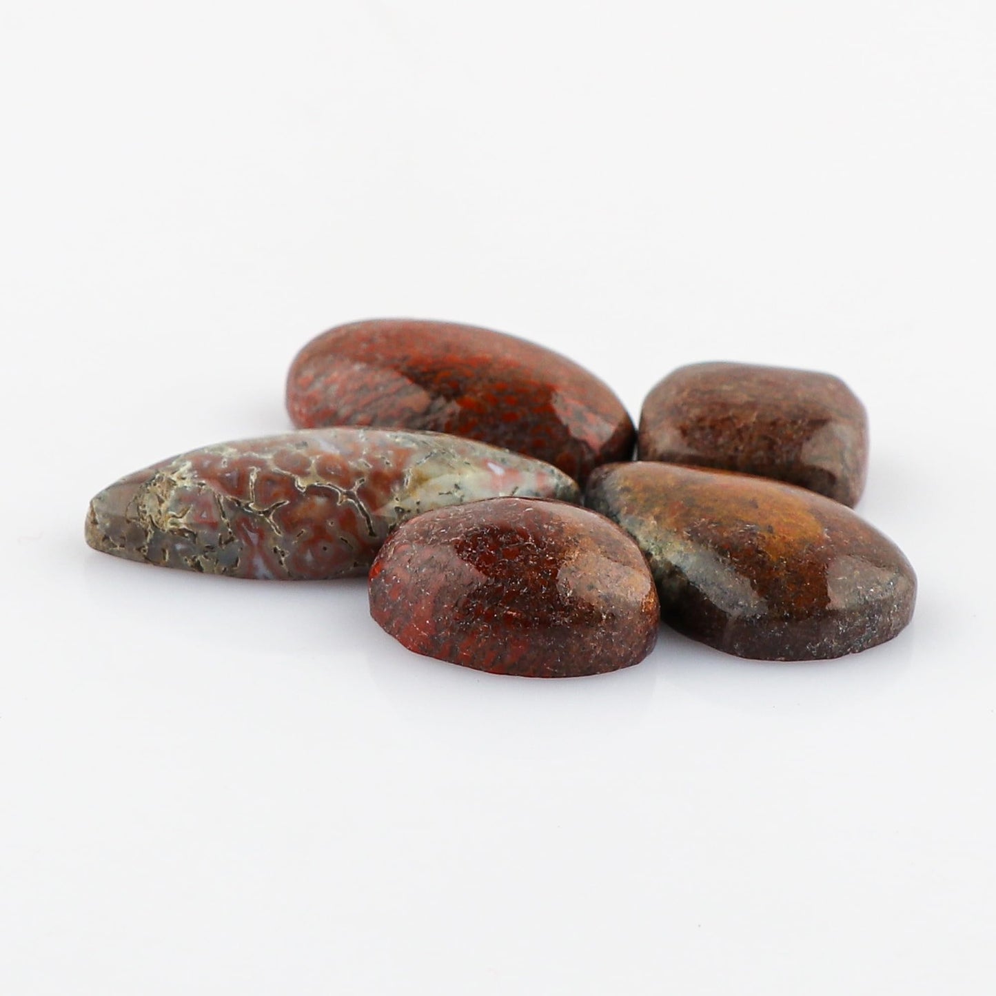 CRYSTALINES 5pcs, Wholesale Genuine Dinosaur Bone Gemstone Cabochons, Bulk Polished Loose Stones, DIY Jewelry Making Supply, Chakra & Healing Crystals, Wire Wrapping, Gems Collection