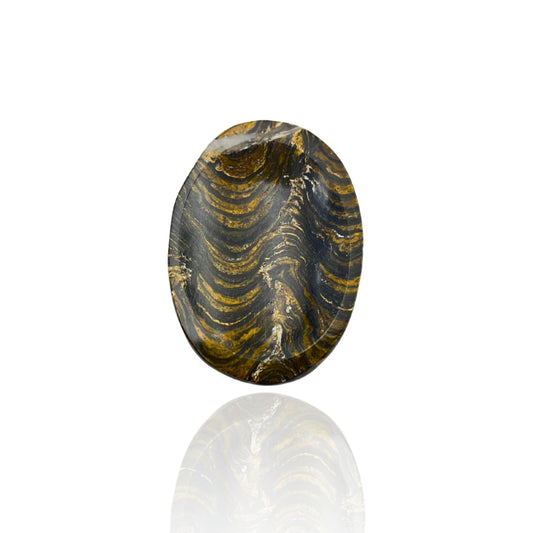 GEMSCITE Stromatolite Thumb Worry Stones Metaphysical Gemstone Crystal Healing Reiki Men Women Gift FENG Shui Positive Energy Love Wellness Palm Stones Wicca Powerful