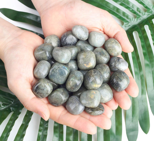 DUQGUHO Rainbow Moonstone Crystals Healing Crystal Stones Set Natural Crystals Bulk Irregular Stones 0.45 lbs