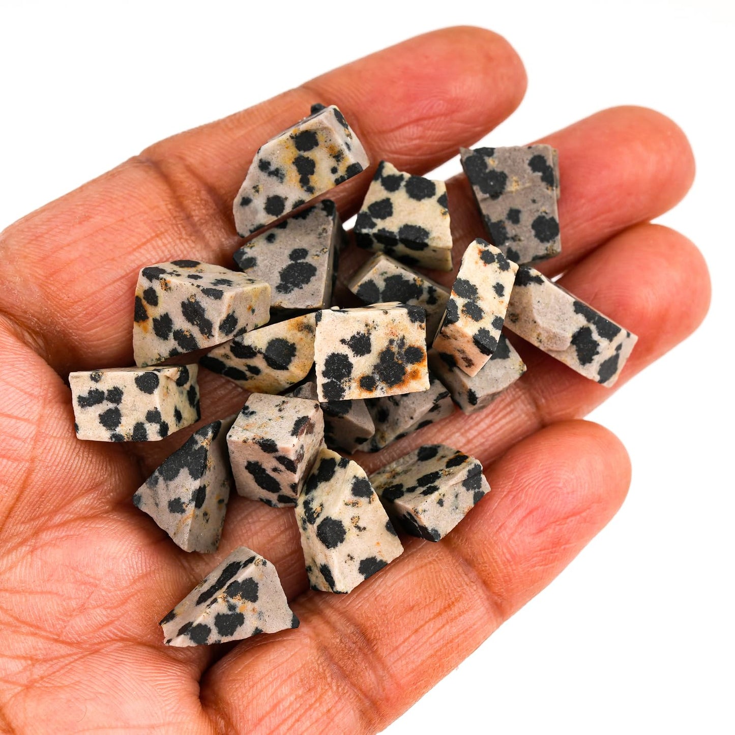 ColouredRocks 100 carats Dalmatian Jasper Crystals, Raw Stones, Rough Gemstones, Jewelry Making Supply, Cabbing, Polishing, Cutting, DIY, Crafts (18pcs) (8-12mm)