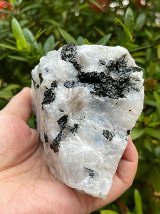 GAF TREASURES XL Raw Rainbow Moonstone, Rainbow Moonstone Rough, Rainbow Moonstone Healing Rough Crystal (Rainbow Moonstone, 0.5-1 lb)