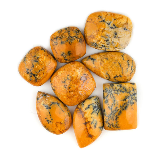 ColouredRocks (100 carats. YELLOW DENDRITE AGATE, Mix Shape, Cabochon Crystals, Loose Gemstone, Wholesale Polished Supply, Jewelry Making, DIY Craft, Gem Collection (8-9pcs.) (15-20mm. free size)