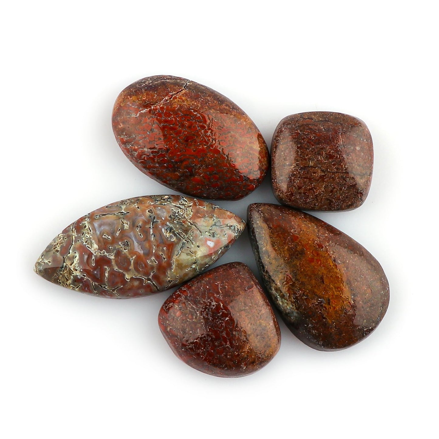 CRYSTALINES 5pcs, Wholesale Genuine Dinosaur Bone Gemstone Cabochons, Bulk Polished Loose Stones, DIY Jewelry Making Supply, Chakra & Healing Crystals, Wire Wrapping, Gems Collection