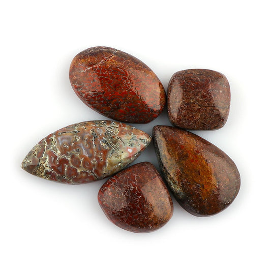 CRYSTALINES 5pcs, Wholesale Genuine Dinosaur Bone Gemstone Cabochons, Bulk Polished Loose Stones, DIY Jewelry Making Supply, Chakra & Healing Crystals, Wire Wrapping, Gems Collection