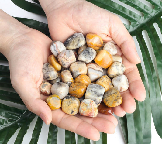 DUQGUHO Crazy Lace Agate Crystals Healing Crystal Stones Set Natural Crystals Bulk Irregular Stones 0.45 lbs