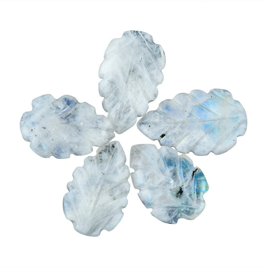 CRYSTALIS Wholesale 5pcs Natural Rainbow Moonstone Carved Loose Gemstone Bulk Cabochons Jewelry Making Supply, Chakra & Healing Polished Stones, Wire Wrapping, DIY, Gem Collection, 15x10mm