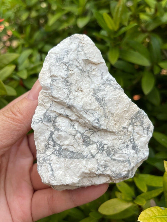 GAF TREASURES XL Raw White Howlite, 3-4" Natural White Howlite Stone, White Howlite Rough, White Howlite Healing Rough Crystal (White Howlite, 0.5-1 lb)