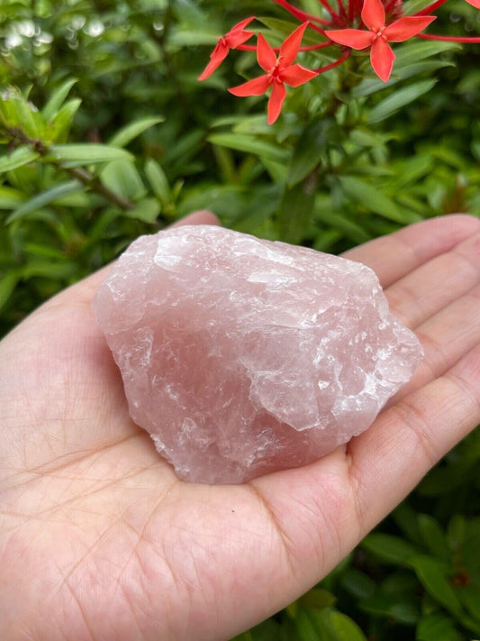 GAF TREASURES XL Raw Rose Quartz, 3-4" Natural Rose Quartz Stone, Rough Rose Quartz, Healing Rough Crystal (Rose Quartz, 0.5-1 lb)