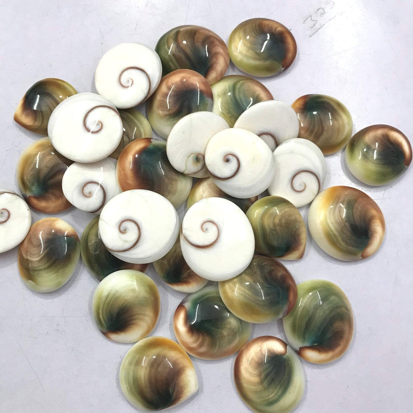 GEMKORA™ 3 to 5pcs Natural Shiva Eye Shell Gemstones Wholesale Cabochons Lot, Jewelry Making Loose Gemstone, Polished Gems, DIY, Wire Wrapping, Reiki, Healing Crystals, Bulk Gemstone Deal
