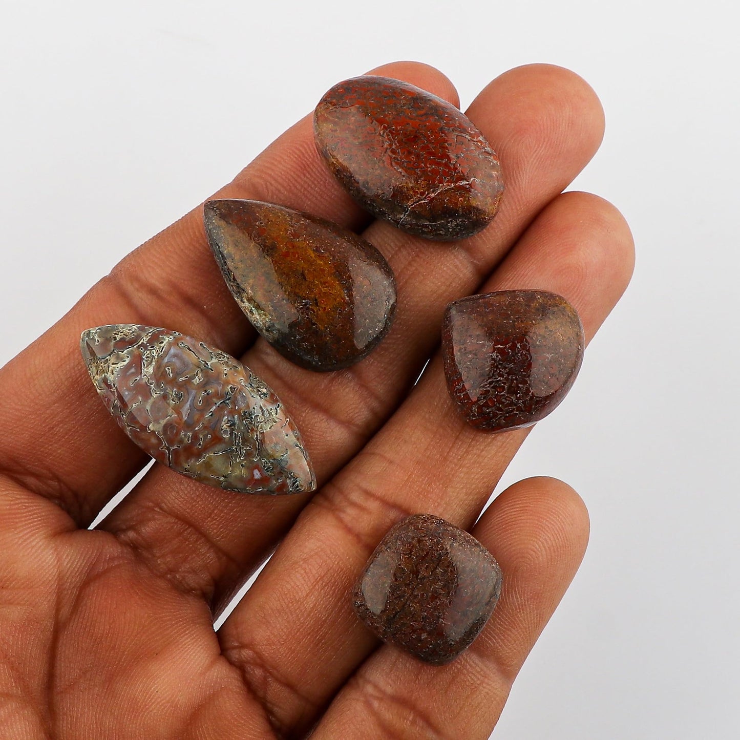 CRYSTALINES 5pcs, Wholesale Genuine Dinosaur Bone Gemstone Cabochons, Bulk Polished Loose Stones, DIY Jewelry Making Supply, Chakra & Healing Crystals, Wire Wrapping, Gems Collection