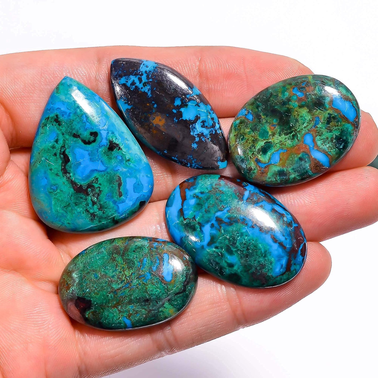 GEMKORA 3 to4 pcs Natural Parrot Wing Chrysocolla Gemstone Cabochon for Jewelry Making, Loose Stones Supply, Wholesale Cabochons Lot, DIY, Wire Wrapping, Healing Crystals, New Gemstones