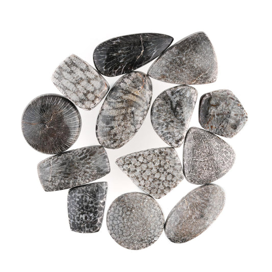 GemSymphony Natural Black Fossil Coral Gemstone Cabochon Pack of 3 Mixed Shapes – Polished Crystal Stones for Jewelry Making Supply, Healing, Reiki & DIY Crafts, Natural Gem Cab Set for Wire Wrapping (10-20 mm)