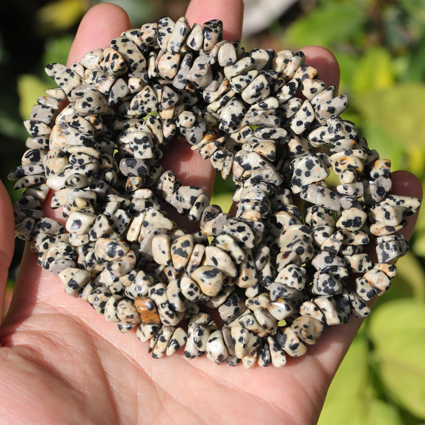 200pcs Natural Irregular Chip Stone Beads 5-8mm Pre-Drilled 30-inch Strand Semi-Precious Healing Crystal Beads for DIY Jewelry Making Bracelet Chakra Crafts Dalmation Jasper