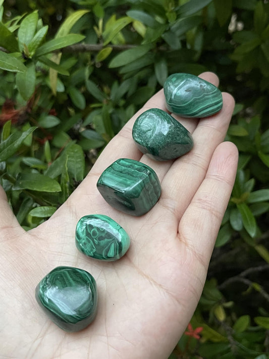 GAF TREASURES 5 Pcs Malachite Tumbled Stones, Polished Natural Malachite Gemstone, Malachite Healing Crystals (Malachite)