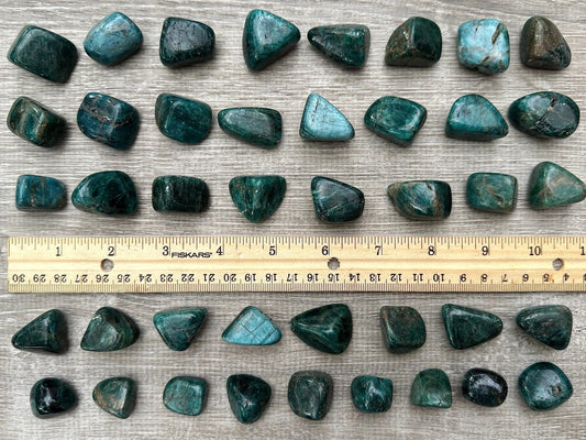 WHOLESALE Apatite Tumbled Stones, Polished Apatite Gemstone, Apatite Polished Rocks (Apatite, 0.25 Pound)