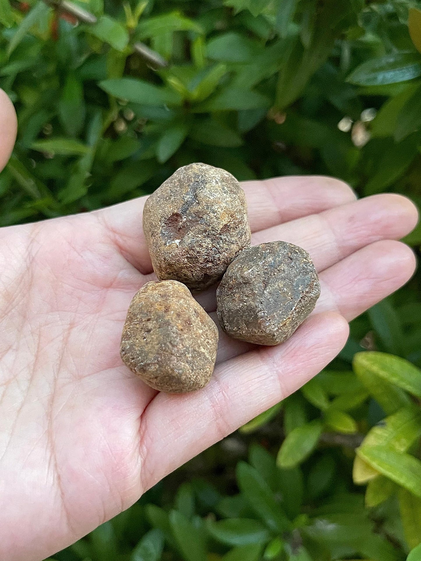 GAF TREASURES Wholesale Raw Garnet Crystals, Natural Garnet Stone, Natural Rough Garnet Crystals, Garnet Rough, Garnet Healing Crystals (Garnet, 0.5 Pound)