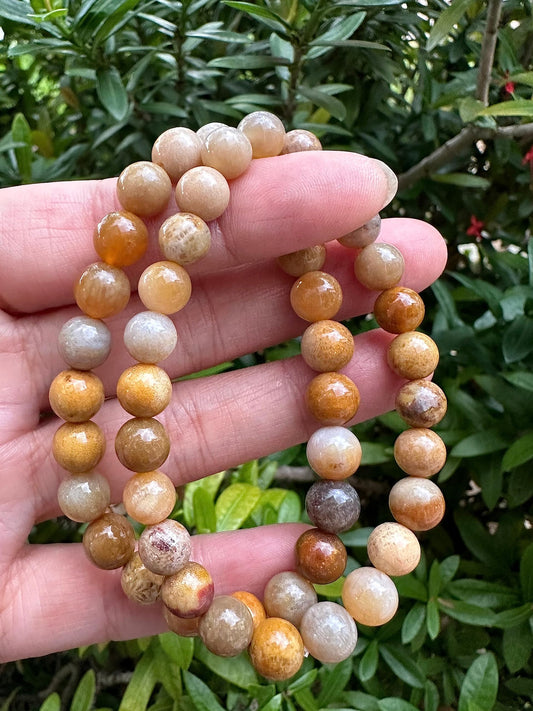 GAF TREASURES Fossil Coral Crystal Bead Bracelet 8mm, Genuine Fossil Coral Stretch Gemstone Bracelet, Healing Crystal Bracelet, Gift for Men & Women (1)
