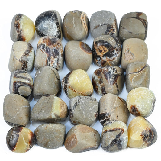 Crocon® 1lb Septarian Tumble Stones And Crystals Bulk 2000+ Carats Natural Crystal Kit For Reiki Healing Crystal Polished, Tumble Stones, Chakra Balancing, Gift, Home Decor Size : 20-25 mm