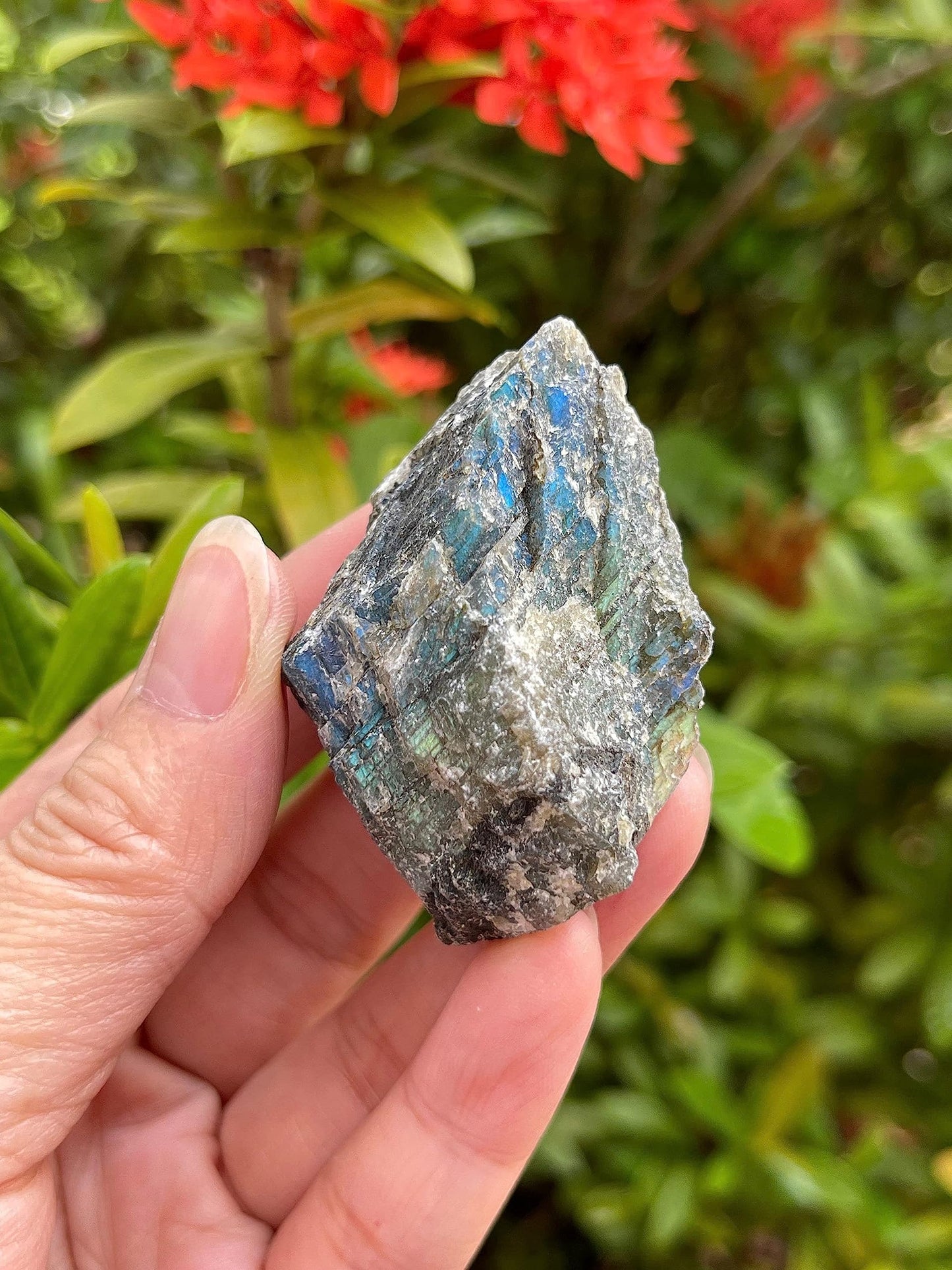 GAF TREASURES Wholesale Raw Labradorite Crystals, Natural Labradorite Stone, Natural Rough Labradorite Crystals, Labradorite Rough, Labradorite Healing Crystals (Labradorite, 0.5 Pound)