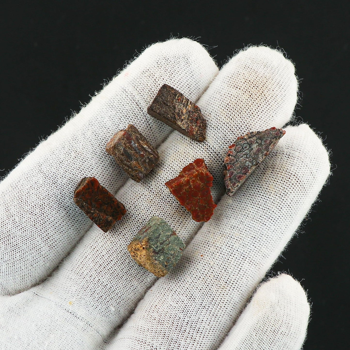 CRYSTALIS Wholesale 5pcs Natural Dinosaur Bone Raw Crystals, Loose Gemstone, Bulk Rough Jewelry Making Supply, Chakra Healing Raw Stones, Wire Wrapping, DIY, Gem Collection, Size : 8-12mm