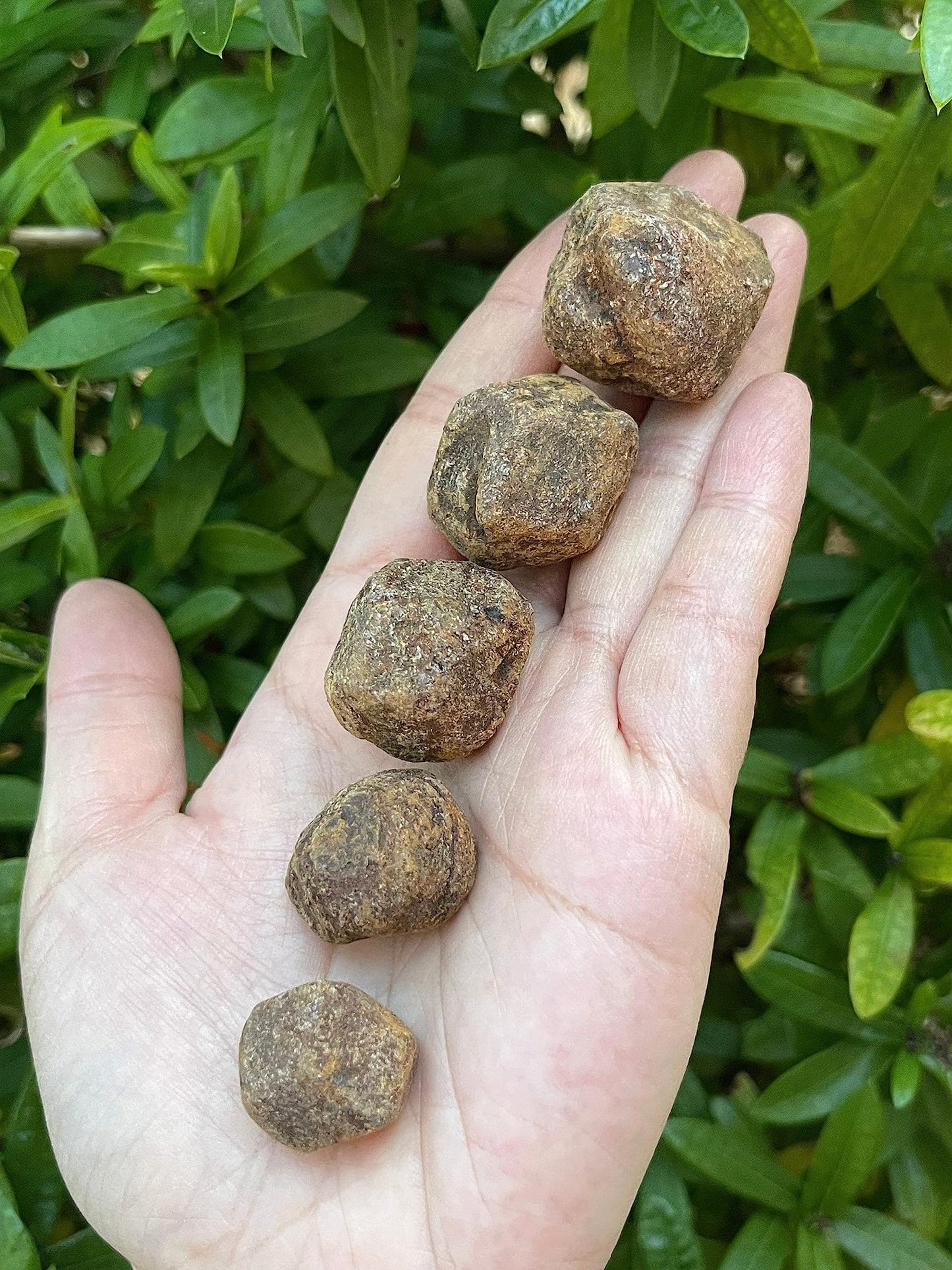 GAF TREASURES Wholesale Raw Garnet Crystals, Natural Garnet Stone, Natural Rough Garnet Crystals, Garnet Rough, Garnet Healing Crystals (Garnet, 0.5 Pound)