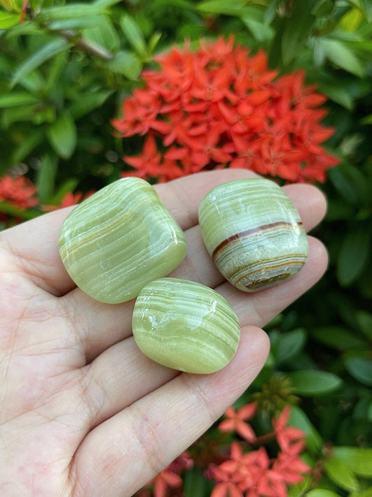 GAF TREASURES 5 Pcs Green Onyx Tumbled Stones, Polished Green Onyx Gemstone, Green Onyx Healing Crystals (Green Onyx)